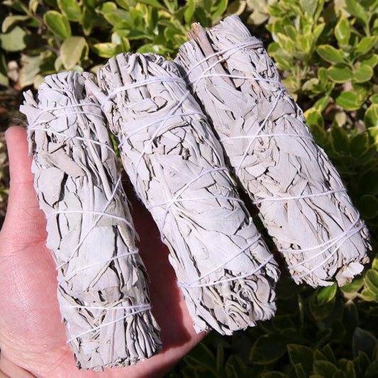 White Sage Bundle California Smudge Stick Wand for Spiritual Incense Sticks Burning Aromatherapy Energy Cleansing Bundles - Bee's to Find